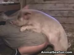 In the barn, Pig pokes his little, curly jock into a man's a-hole.